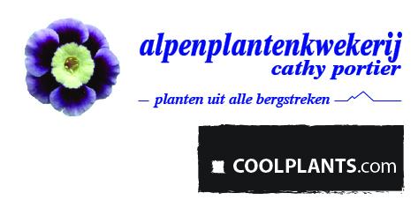 Alpenplanten Cathy Portier