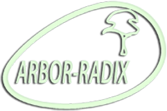 Arbor-radix
